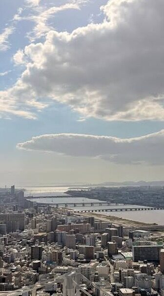 世界杯冠军奖杯在法国吗-世界杯冠军奖杯，法国荣耀与足球传奇